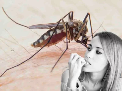 Dengue italia