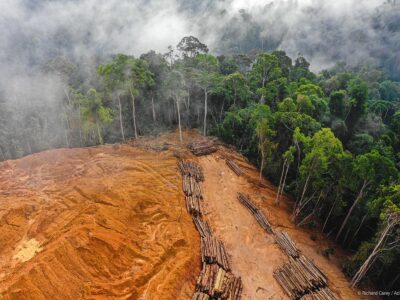 Deforestazione Brasile Colombia